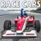 Subaru Street Racer Passes by at Very Fast Speed - Sound Ideas lyrics