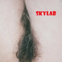 SKYLAB - Single - Rogério Skylab
