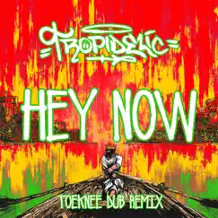 Hey Now - Single by Tropidelic album reviews, ratings, credits
