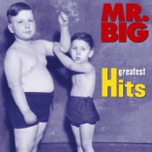 Mr. Big - Green Tinted Sixties Mind (Remastered LP Version)