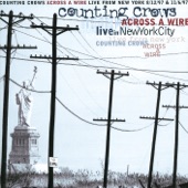 Counting Crows - Mr. Jones