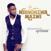 Ndinonzwa Mazwi, 2017