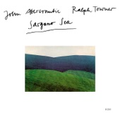 John Abercrombie - Romantic Descension