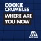 Cookie Crumbles - Where Are You Now (Extended Mix)