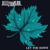 Let You Down - Single