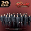 Banda El Recodo de Cruz Lizarraga - Y Llegaste Tú