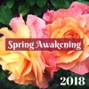 Spring Awakening 2018 - Springtime Happy Nature Music for Feeling Good & Positive Feelings