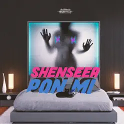 Pon Mi - Single - Shenseea Pon Mi - Single - Shenseea