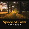 Space of Calm: Forest – Deep Relaxation, Contemplation Eternity, Letting Go of Tension and Stress, Equanimity album lyrics, reviews, download