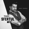 Trei Sfertul Meu - Single