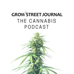 The Cannabis Podcast