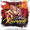 Dil De Kareeb - Single