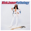 Rick James - Fire And Desire (feat. Teena Marie)