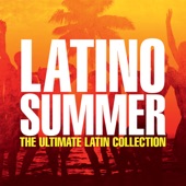Latino Summer artwork