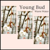 Young Bud artwork