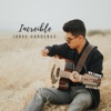 Increíble - Single