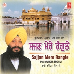 Bhai Ravinder Singh Ji - Nadiya Wah Vichhanea,Mela Sanjogi Ram