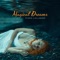 Dreamland - Deep Sleep Music Academy lyrics