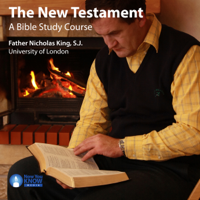 Fr. Nicholas King SJ - The New Testament: A Bible Study Course artwork