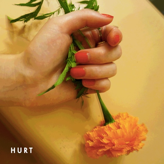 Cover artwork for Hurt