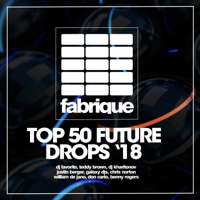 Various Artists - Top 50 Future Drops '18 artwork