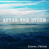 After the Storm EP