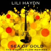 Sea of Gold (The Stereo Flow Radio Edit) artwork