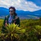 Paramo en Llamas - Frailejón lyrics