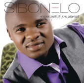 Bayede Nkosi Jesu artwork