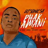 Phakamani (feat. Dj Sox, Emza, Bhizer & C Sharp) artwork