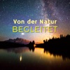 Von der Natur Begleitet: Entspannende Musik mit Naturgeräuschen, um sich Gelassen und in Harmonie mit der Welt zu Fühlen