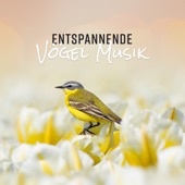 Naturgeräusche Meditationsmusik - Die Freude