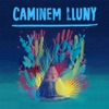 Caminem Lluny - Single, 2018
