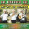 El Rengo del Gallo Giro - Trio los Nativos de Hidalgo lyrics