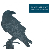 James Grant - Strange Flowers artwork