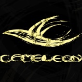 Cameleon. Dz - El Lila
