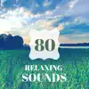 80 Relaxing Sounds - Sleep Easy Every Night, Sleeping Solutions for Insomnia album lyrics, reviews, download