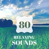 80 Relaxing Sounds - Sleep Easy Every Night, Sleeping Solutions for Insomnia