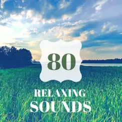 80 Relaxing Sounds - Sleep Easy Every Night, Sleeping Solutions for Insomnia by Frank Easy album reviews, ratings, credits