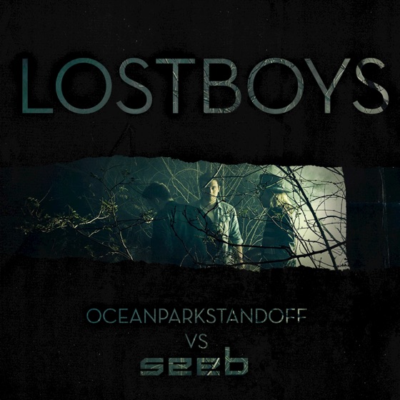 Cover artwork for Lost Boys