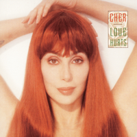 Cher - Love Hurts artwork