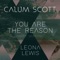 You Are the Reason - Calum Scott & Leona Lewis lyrics