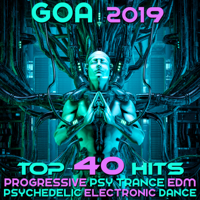 Various Artists - Goa 2019 - Top 40 Hits artwork