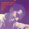 That's the Way Love Is ジャケット写真