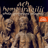 Ach, homo fragilis - Petra Noskaiova & Schola Gregoriana Pragensis