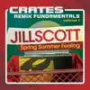 Crates: Remix Fundamentals Volume 1 (Spring Summer Feeling) album lyrics, reviews, download