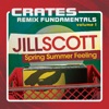 Crates: Remix Fundamentals Volume 1 (Spring Summer Feeling), 2012