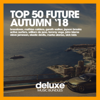 Various Artists - Top 50 Future Autumn '18 artwork