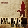 Sam Pace - Mr. Pop Chart