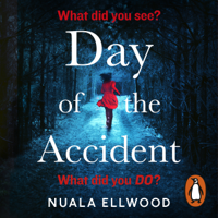 Nuala Ellwood - Day of the Accident artwork